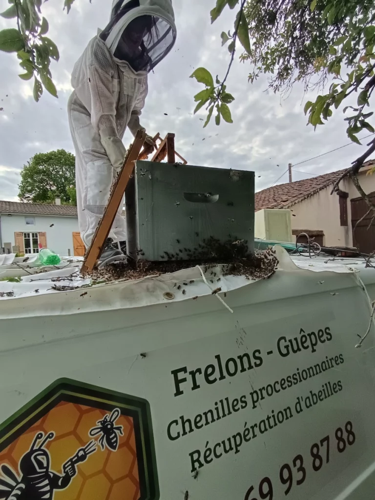 sos beefree abeilles 768x1024