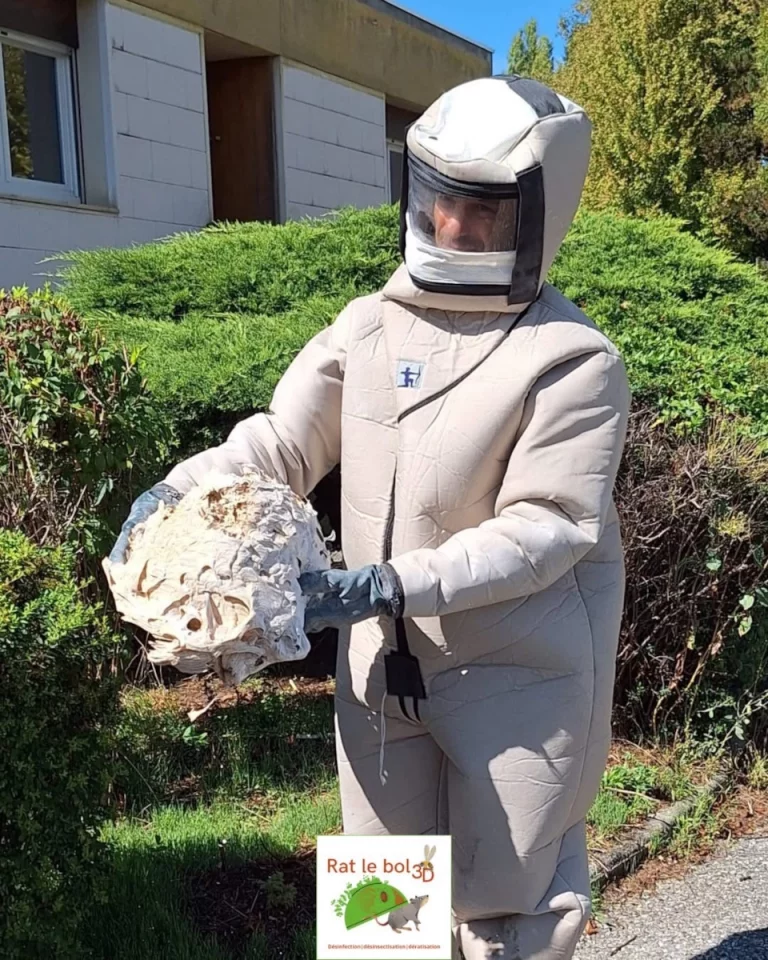 technicien guepes frelons rat le bol 3d 768x960