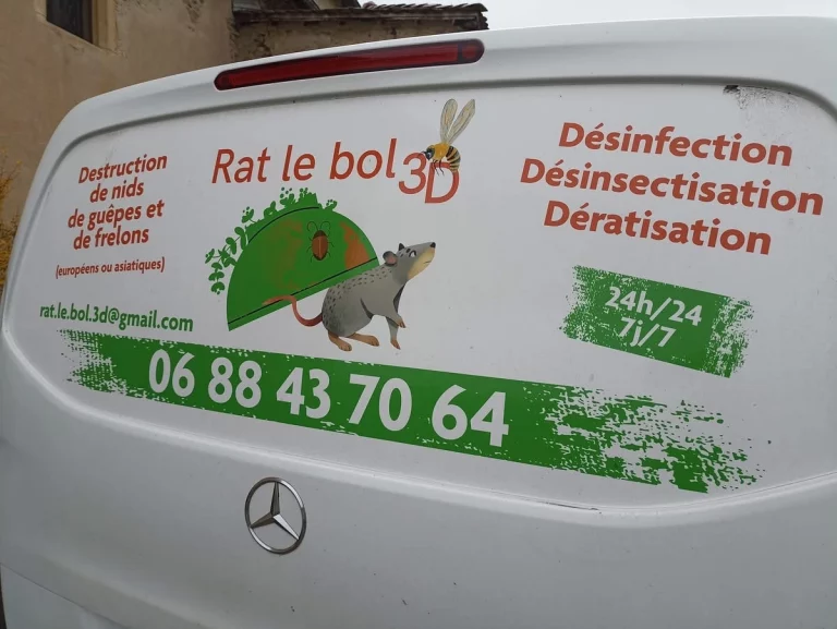 vehicule rat le bol 3d 768x577