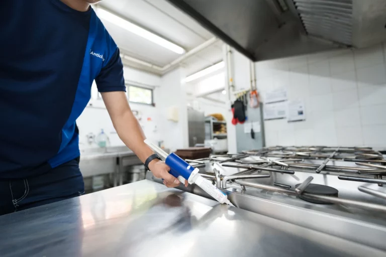 Anticimex traitement cuisine 6 768x512