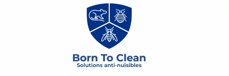 banniere born to clean 768x256
