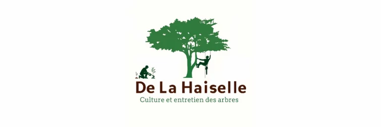 couverture de la haiselle 768x256