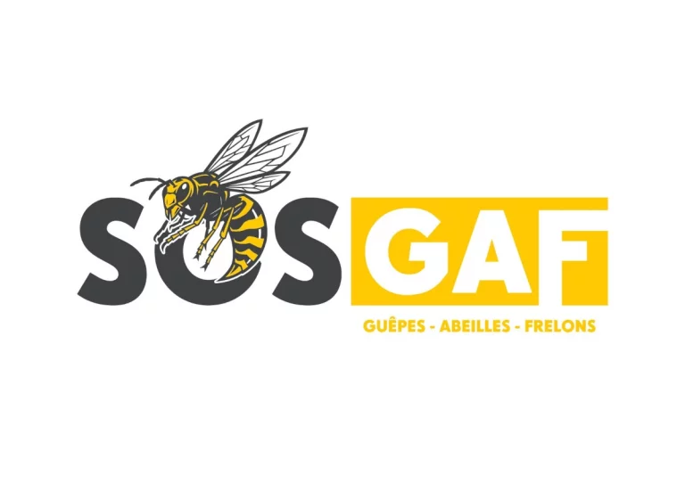 logo banniere couleur 768x543