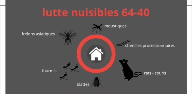 lutte nuisibles 64 40 banniere 768x378