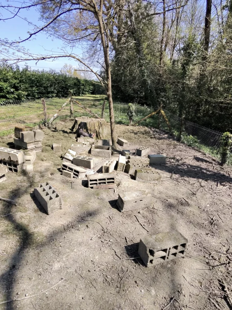 lutte nuisibles 64 40 chantier client 768x1024