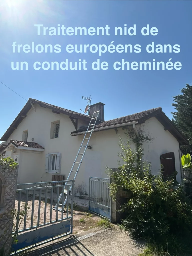 lutte nuisibles 64 40 traitement nid 768x1024