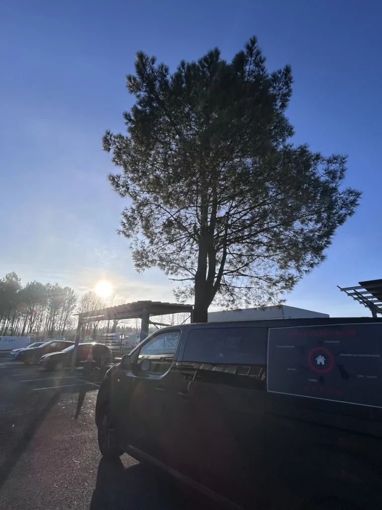 lutte nuisibles 64 40 vehicule 768x1024