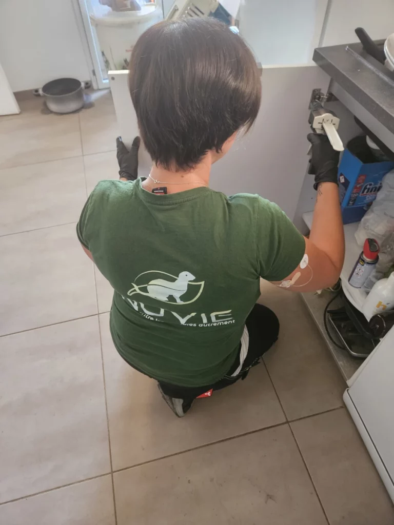 nuvie desinsectisation blattes 768x1024