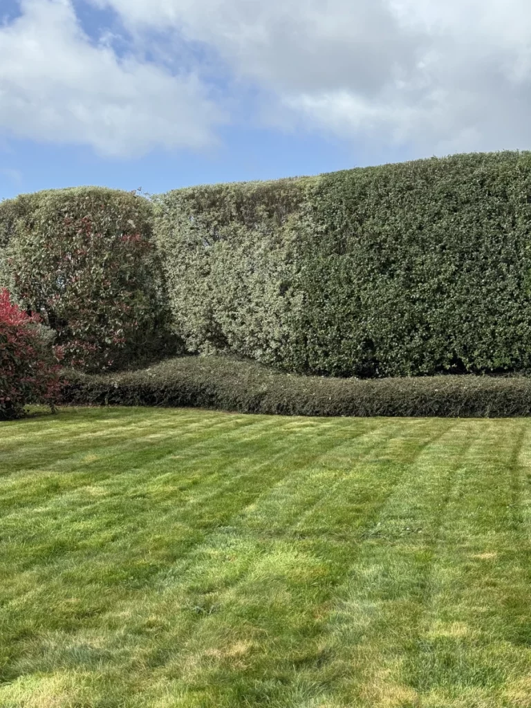 tonte horizons jardins 768x1024