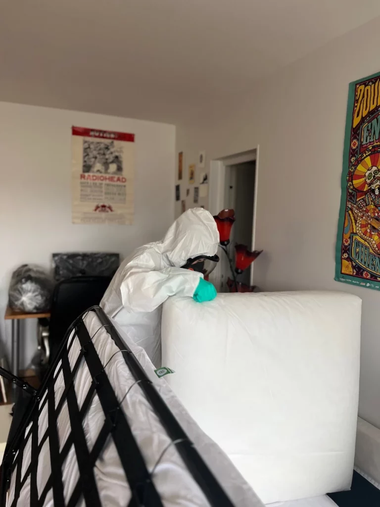 traitement punaises de lit anolys multiservices 768x1024