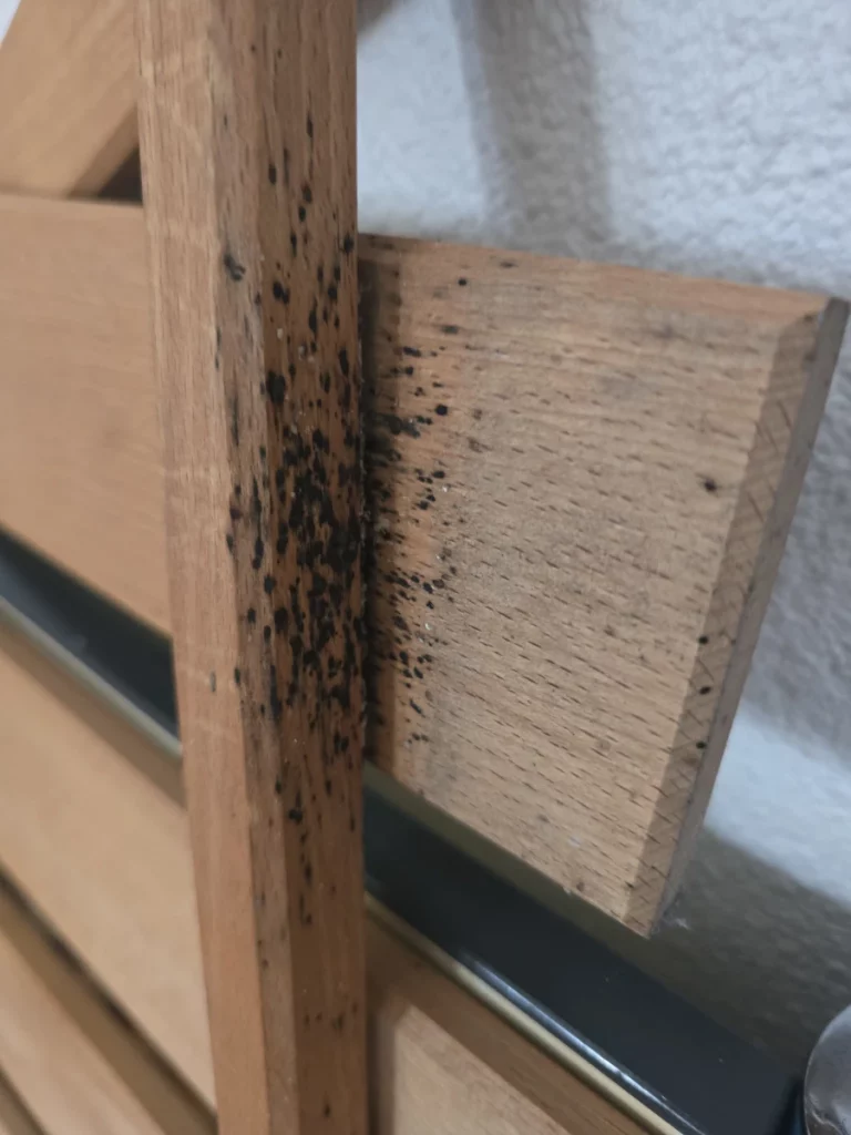 dejections punaises fauna control 3d 768x1024