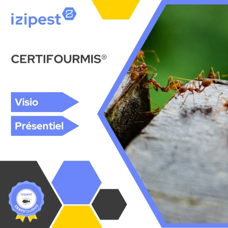 Formation Certifourmis® IZIPest