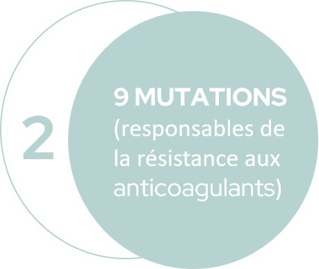 IZIDiag test mutations