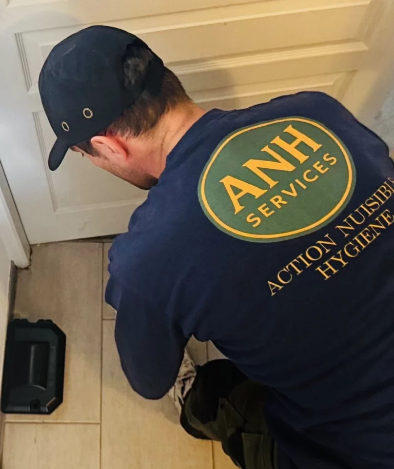 anh services intervention 768x914