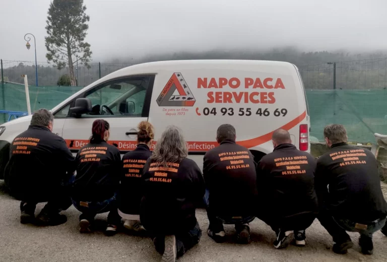 naco paca services 768x520