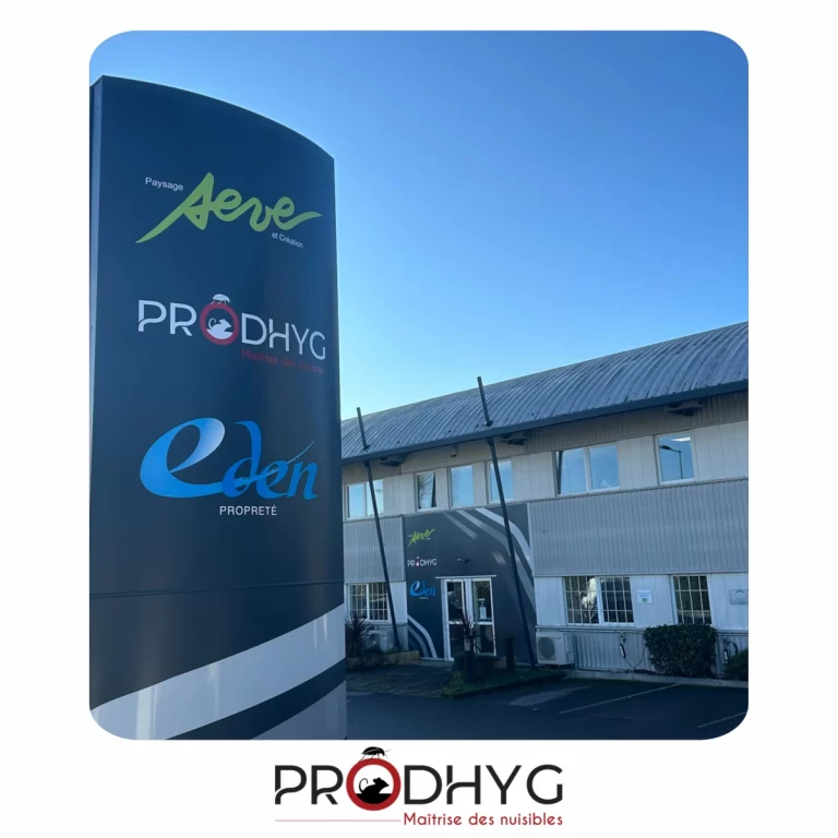 prodhyg 768x768