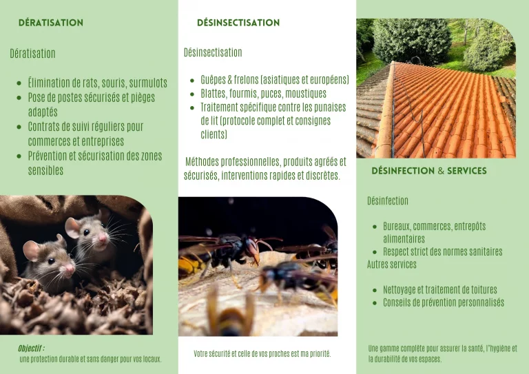 flyer int alan destruction frelon guepes 768x543