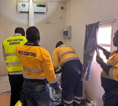 Mise en situation Greg Guinée