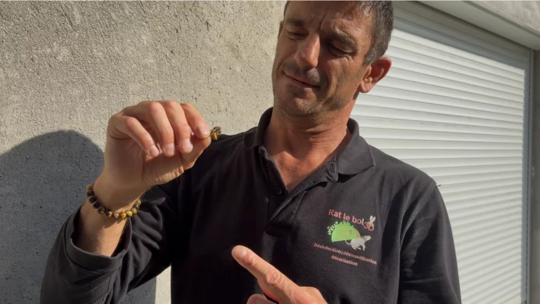 technicien rat le bol 3d 768x433