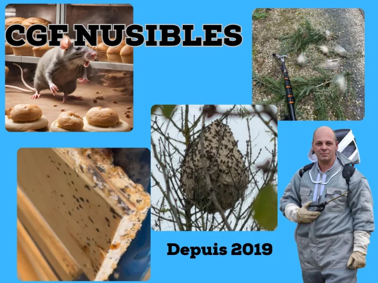 cgf nuisibles 768x576