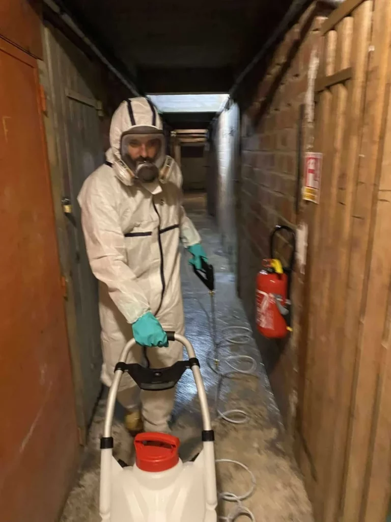 technicien pco destruct insectes 768x1024