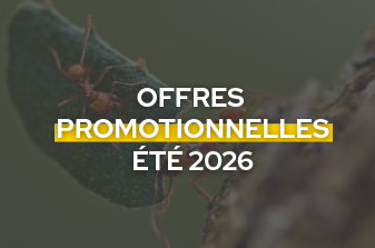 Offres promotionnelles 2026