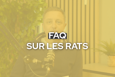FAQ rongeurs