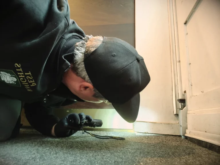 inspection technicien pest knights 768x576