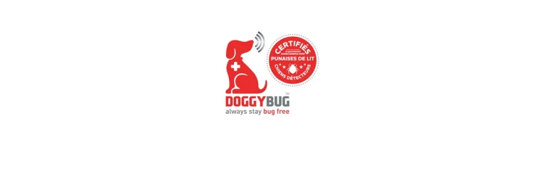 banniere doggybug 768x256